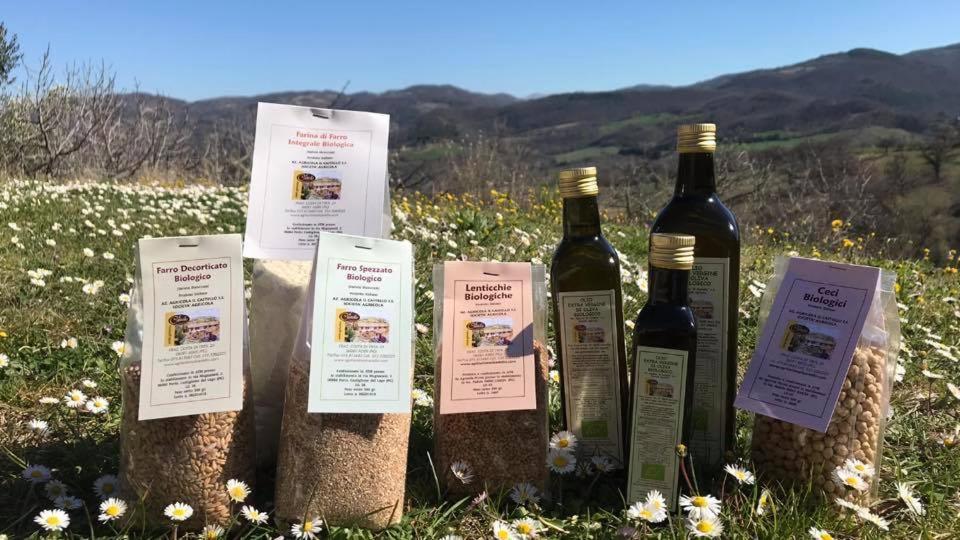Agriturismo Il Castello อัสซิซี ภายนอก รูปภาพ